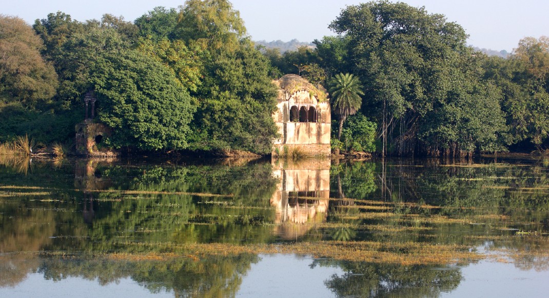 Ranthambhore National Park Rajasthan